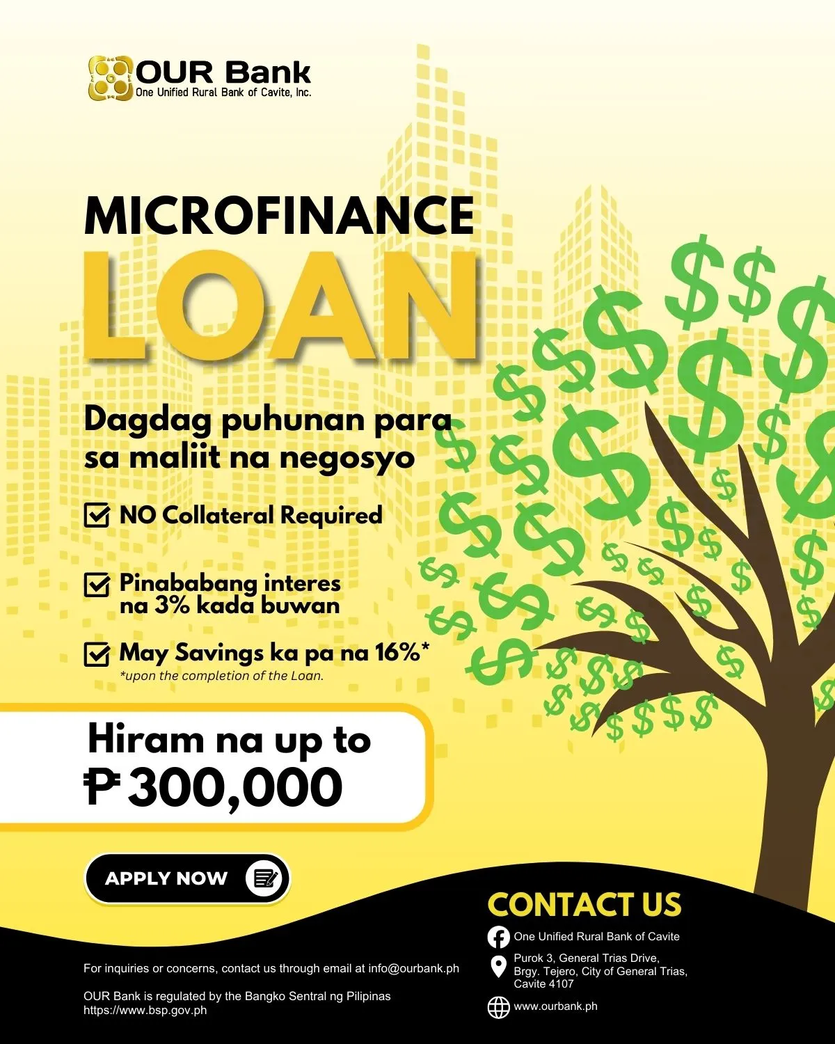 Microfinance